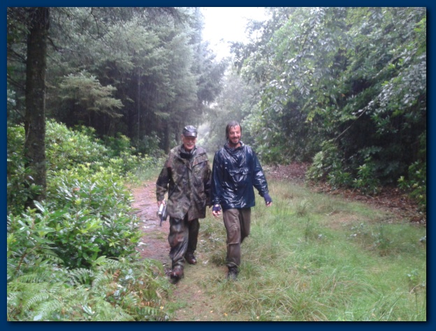 624x474 pixels (148K)